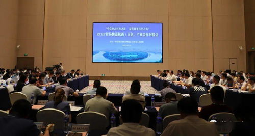 對(duì)接RCEP新機(jī)遇，共謀貿(mào)易物流新篇章——中國(guó)國(guó)際貨運(yùn)代理協(xié)會(huì)考察團(tuán)赴我市開展產(chǎn)業(yè)合作對(duì)接